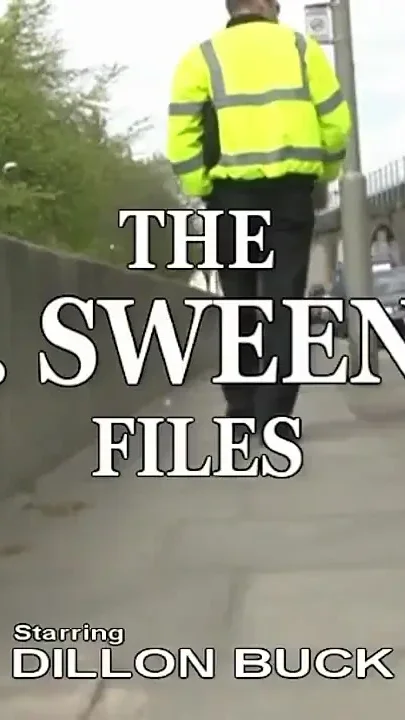 Sweeney 2 - Traffic Cop