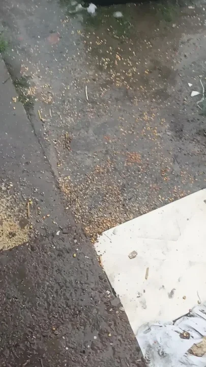 morning pee