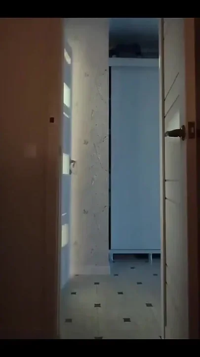 Real Homemade Porn Video