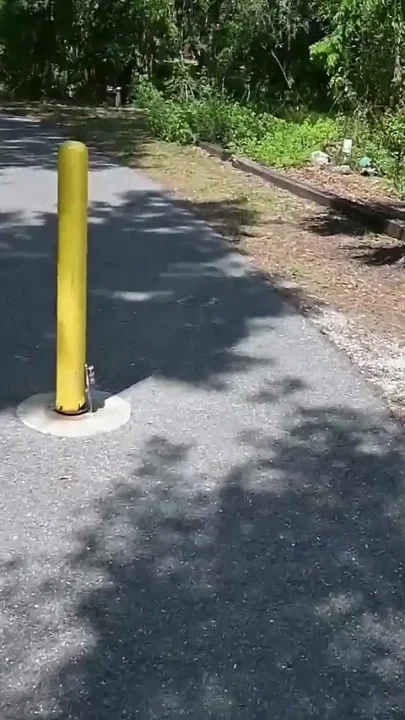 Bts Nature Walk and Masturbation on Trail