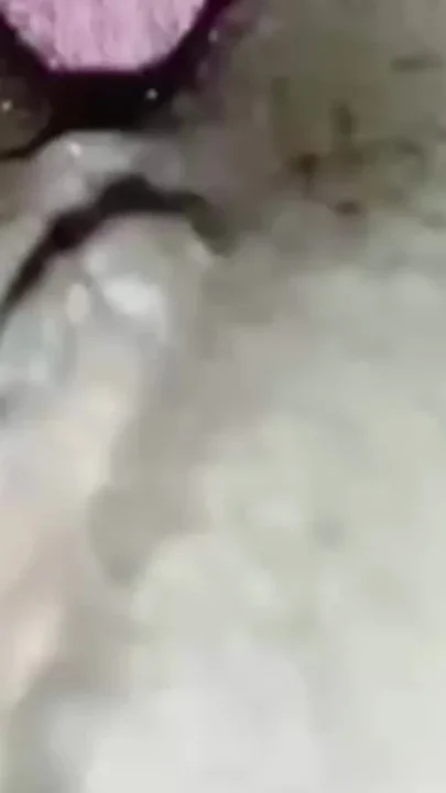 Look at my pussy It's my first short video guys Please support I will entertain