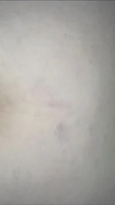 MILF with big round booty does anal Clip 1