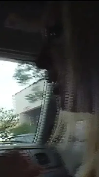 The Ass Totally Open