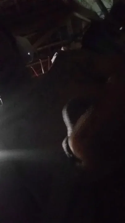 Cock Rod Cock