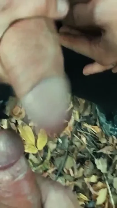 POV Outdoor Cum on Other Dick and Lick Own Cum off 2