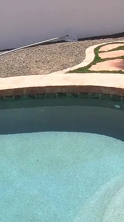 Patrick pool briefs