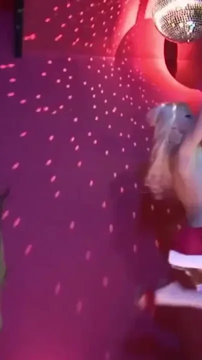 Double penetrated and fucked in the ass