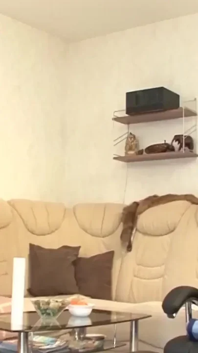 Hot Matured Housewife Gets Her Juicy Hairy Pussy Fucked Hard by a Massive Cock