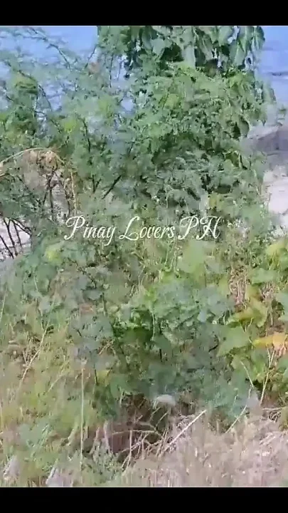 Stranger Fisherman Fucked Me at the Beach Cum Inside My Pussy Please