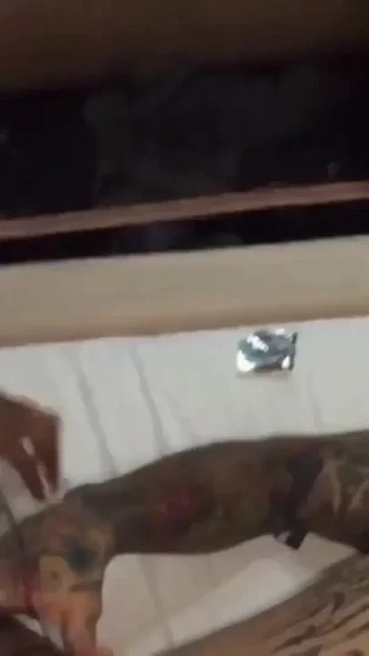 Beautiful hot shemale anal sex and blowjob Clip 3