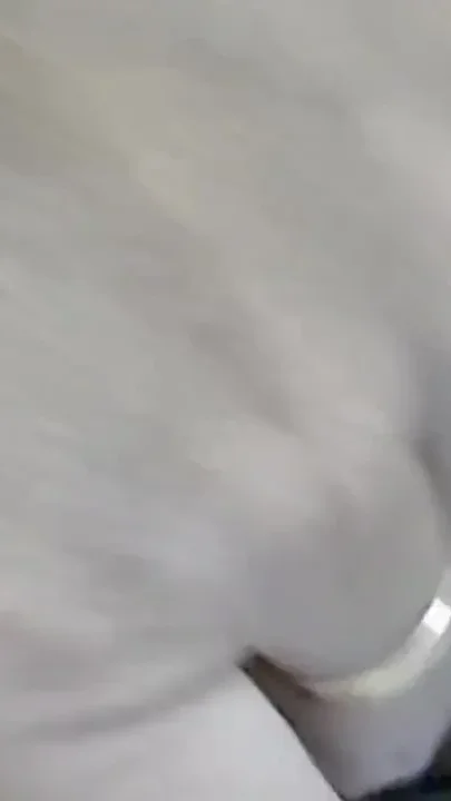 The Juiciest Pussy You'll See Today