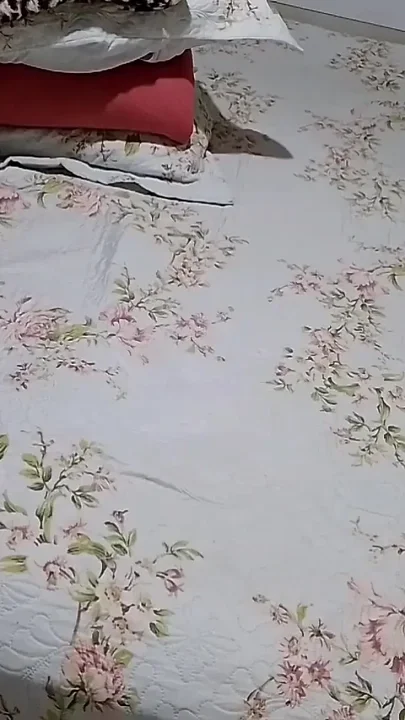 Empregada Teve Que Dividir a Cama Com Patrao Devido Reforma De Sua Casa