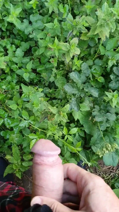 Pissing in the field