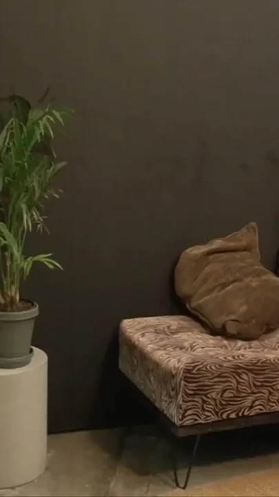 Dark haired babe gets her young pussy fucked