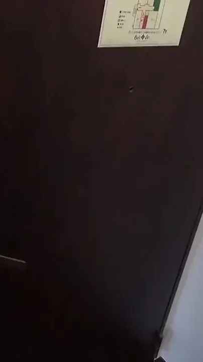 Asian Angel 27812