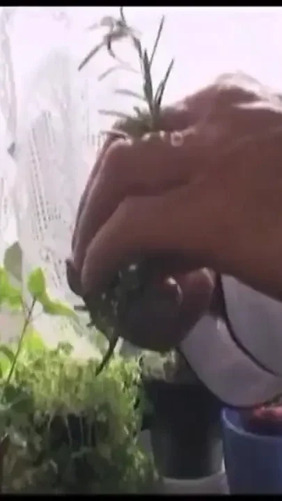 A real masterchef for a real bitch
