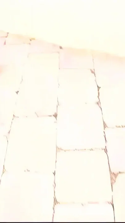 Jada Fire Vs Big White Cocks