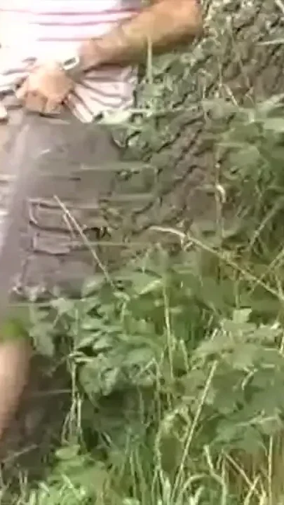 Sexy dude solo in cruising exhib wood