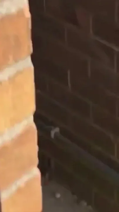Through the Windows and Got Lucky