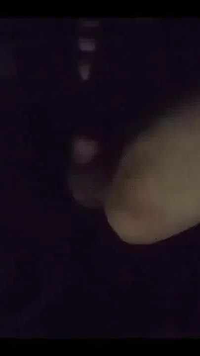 Pounding My Gay Ass