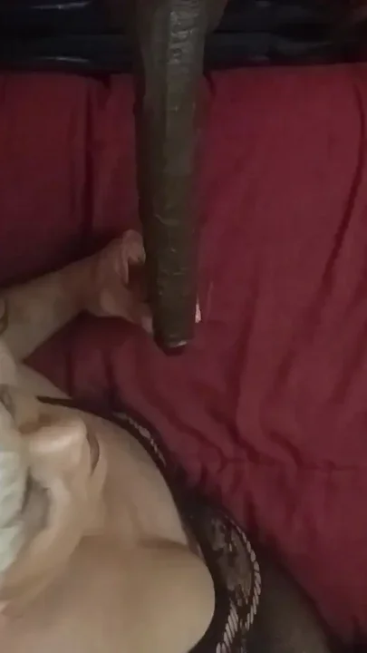 Bee's Doggy-arch ATM