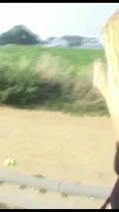 Cock Sucking Lady From France Pleasing Lucky Dude