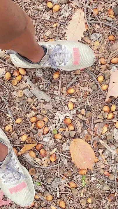 Piss and Bate in the Woods