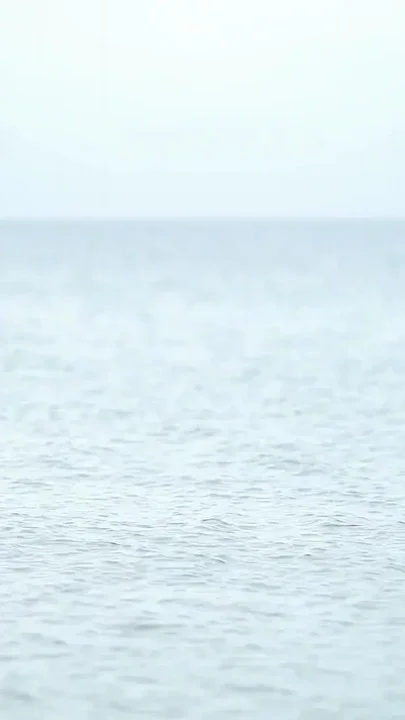 Shoreside Featuring Charlie Forde Logan Stapleton