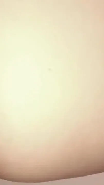 I Put on My Anal Plug and Put His Cock in Me Until I Came