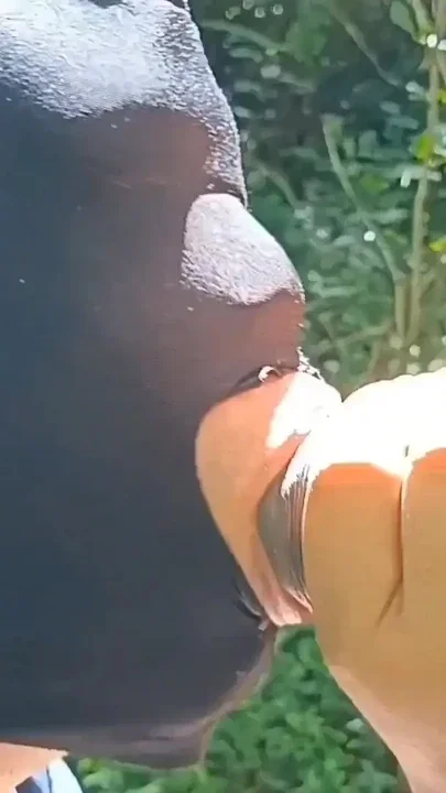 Captivating moment from 