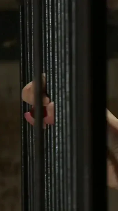 Anal Pet