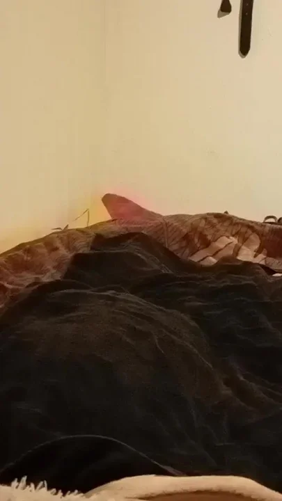 Bitch Sub Slut