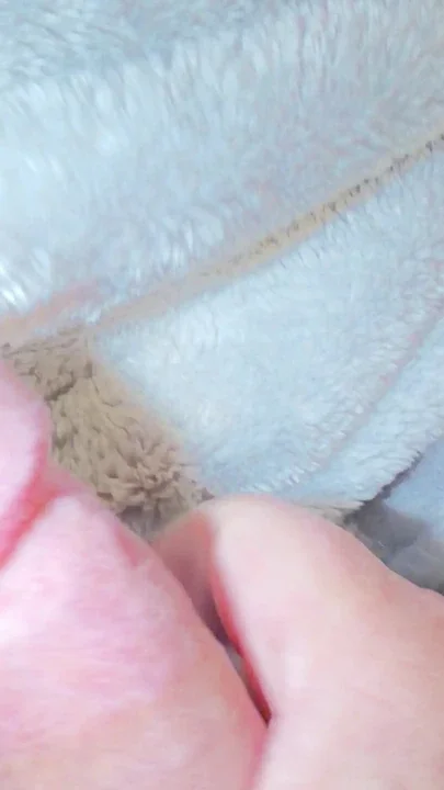 Hard cock in hand
