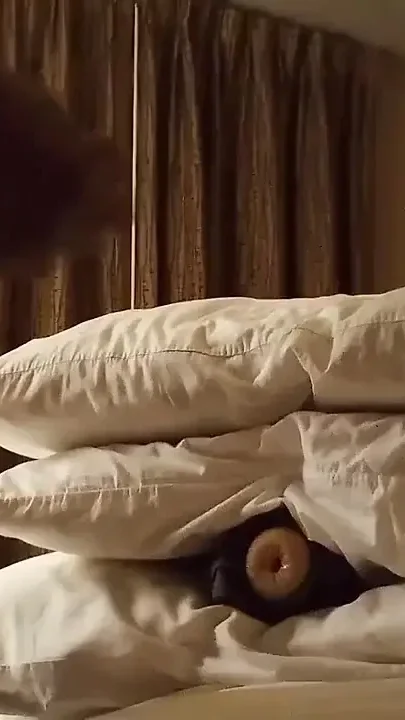 Me Fucking Sex Toy in Early Morning When I'm Horny