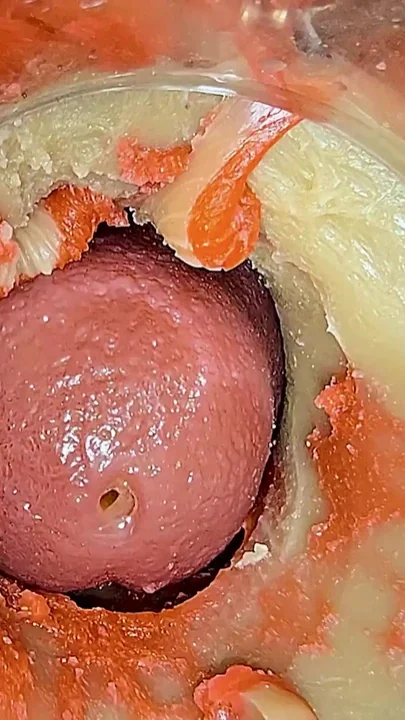 Cumming on Your Cock with Camera Inside Pussy - ASMR 4k Clip 1