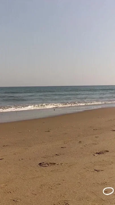 Foot fetish My wife showing her bare feet on the beach