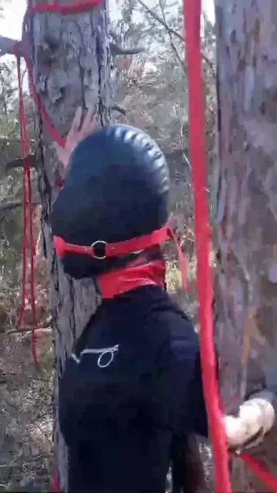Outdoor sex in the wood Wearing sexy clothes and high heels bound throated and fucked