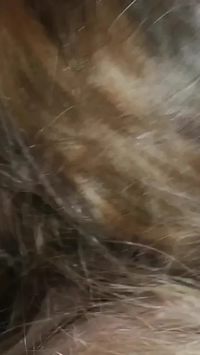 Orgasm under the sheets