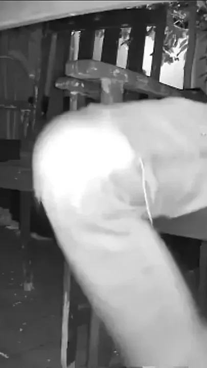 Amateur Boy Caught on Night Vision Cam Peeing Himself Sitting at the Garden