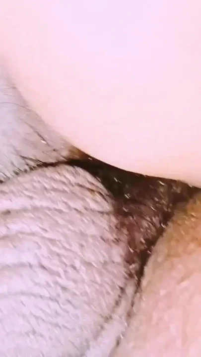 Indian threesom village step sisters fucking auto driver Telugu dirty talks Clip 1