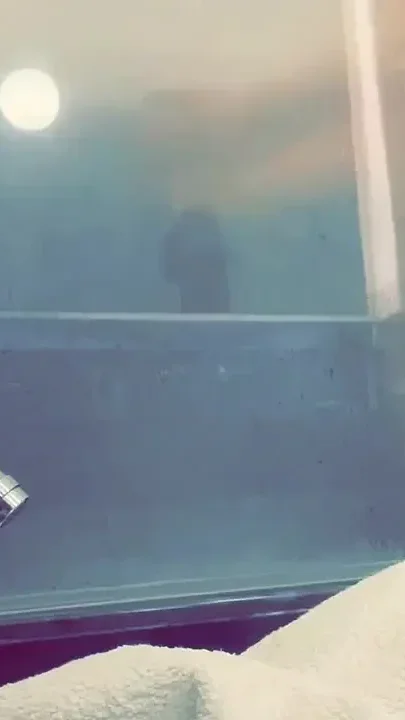 Pale White Skin Redhead Flatmate Caught Pissing in the Shower