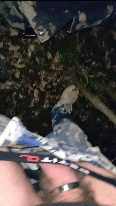 Cocks at night in the woods