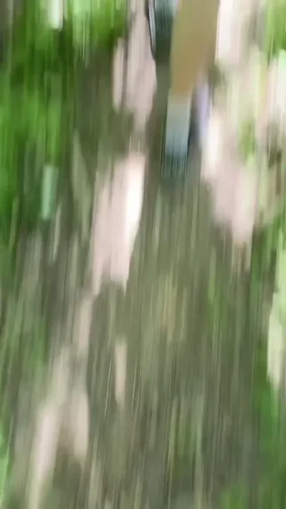 Fucking in the Forest Three Gay Men Fucking Without a Condom