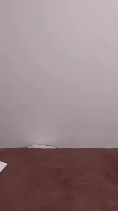 Asian Angel 26829