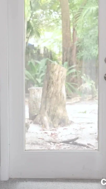 Beyond Gorgeous Southern Bell Has Her First BBC