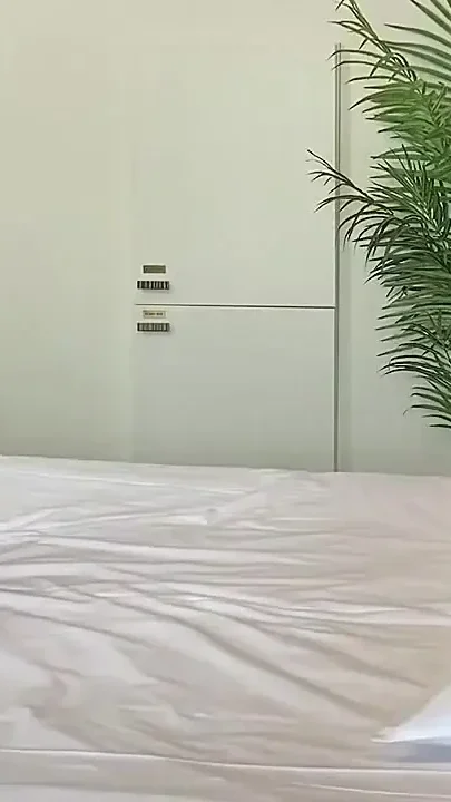 Asian Angel 26957