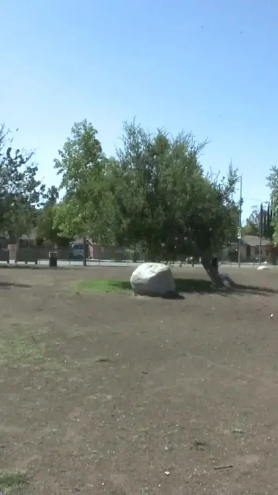 Unexpected park pick-up leads to an intense fuck session with a busty brunette