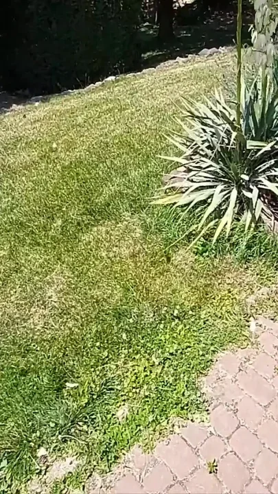 I Caught a Sexy MILF in the Park for a Sex Party
