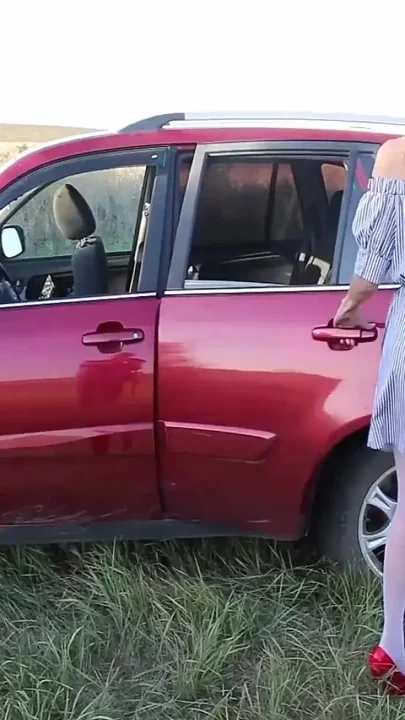 Fucked in the Back Seat of the Car Itself