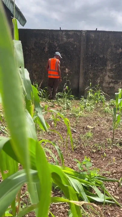 Agricultural Practice